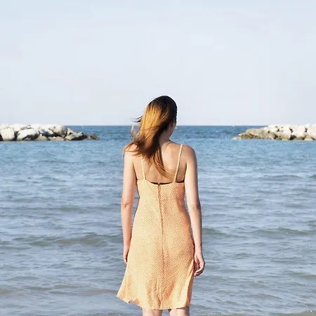 Dasamo - Dada Ρίμινι