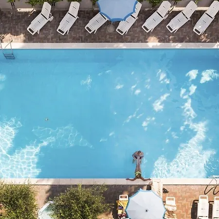 Dasamo - Dada Rimini